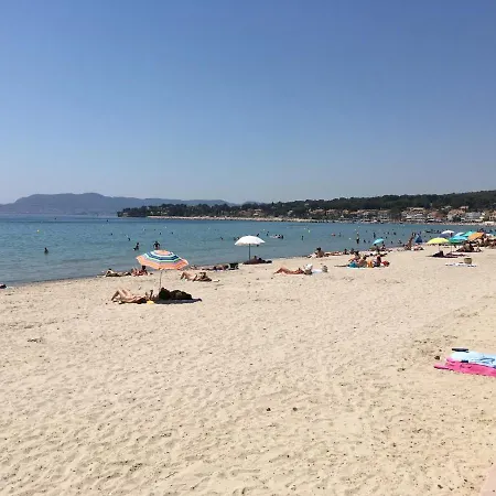 Les Palmiers