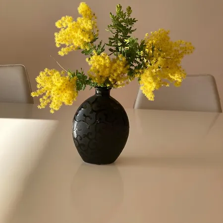 Les Palmiers Apartment Saint-Cyr-sur-Mer